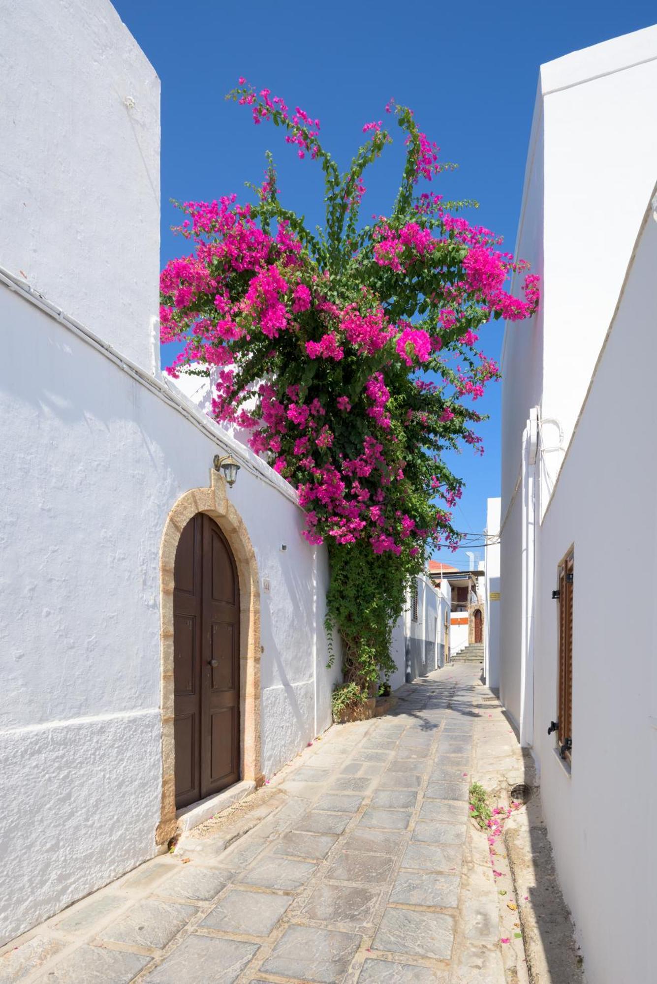 Erato Apartments Lindos  Exterior photo